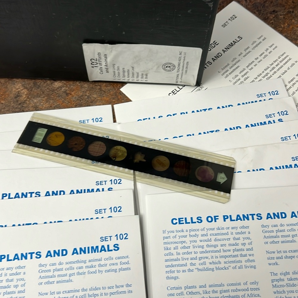 Science Microscope slides Cells of Plants & Animals Set 102 Teaching